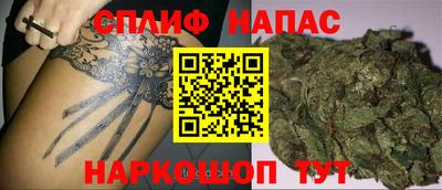 PSILOCYBIN Кулебаки