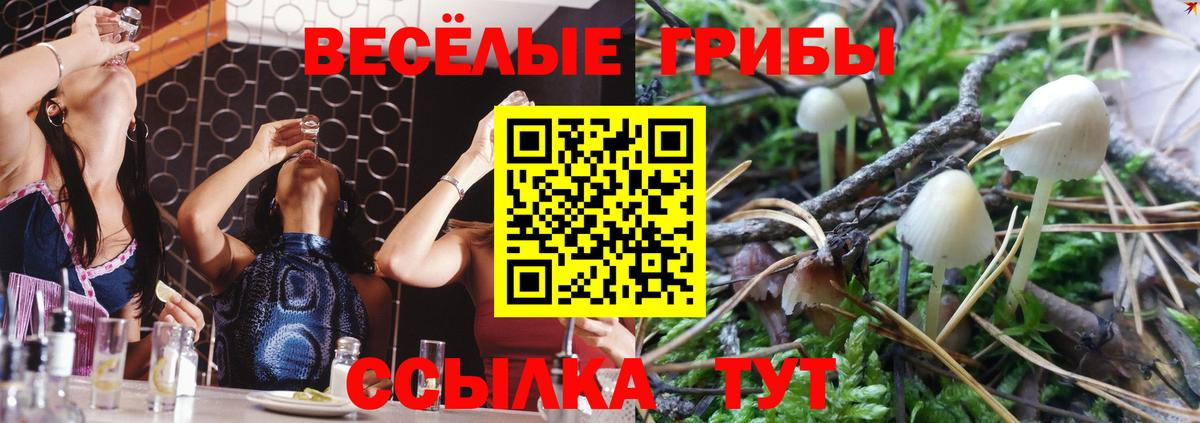 Галлюциногенные грибы Cubensis  Вход с VPN  Елизово 